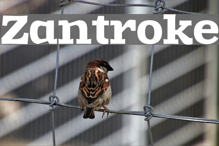 Zantroke Font examples