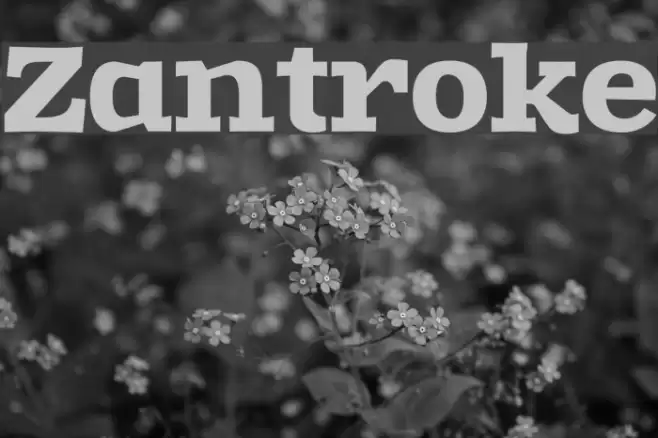 Zantroke Font examples