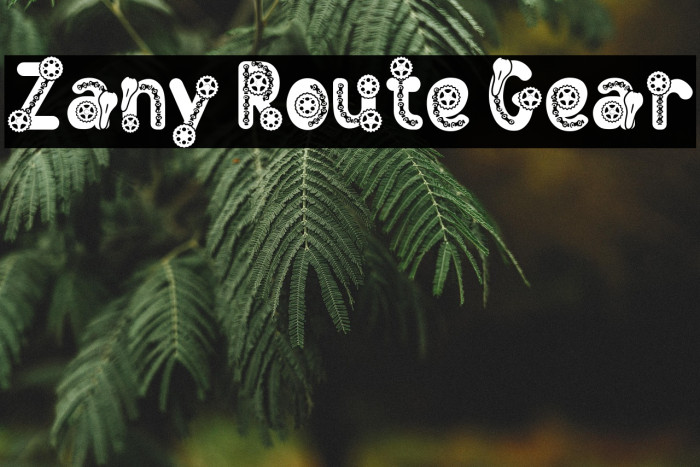 Zany Route Gear Example 2