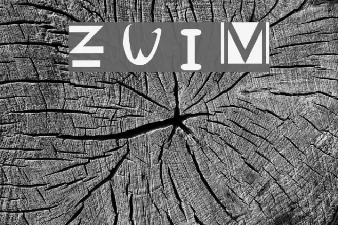 Zany Whatever It Means Polices examples