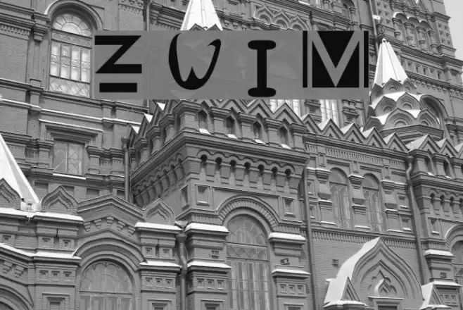 Zany Whatever It Means Polices examples