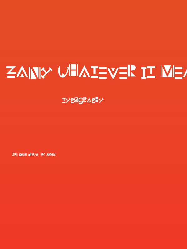Zany Whatever It Means Poster