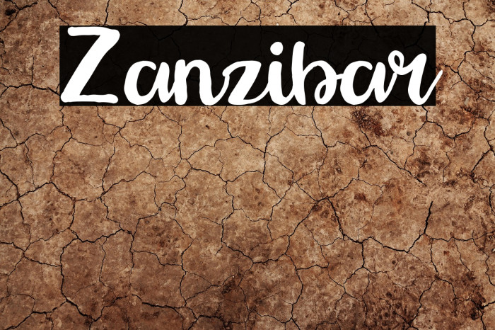 Zanzibar Example 2