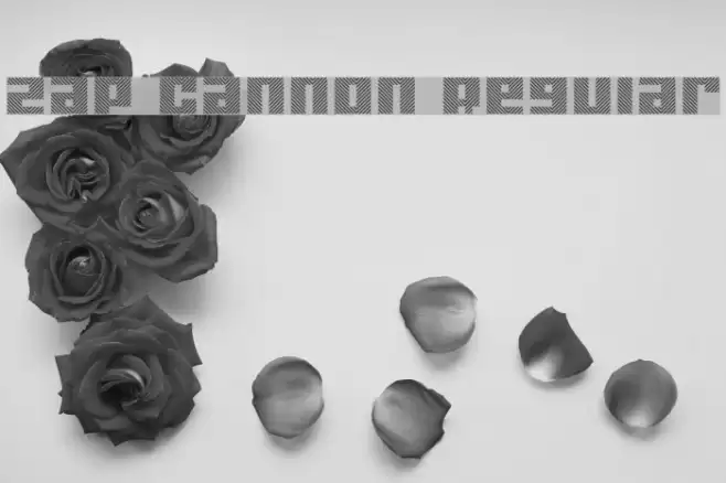 Zap Cannon Regular Font examples