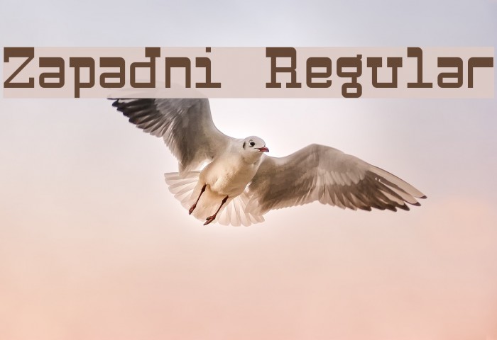 Zapadni Regular Example 3