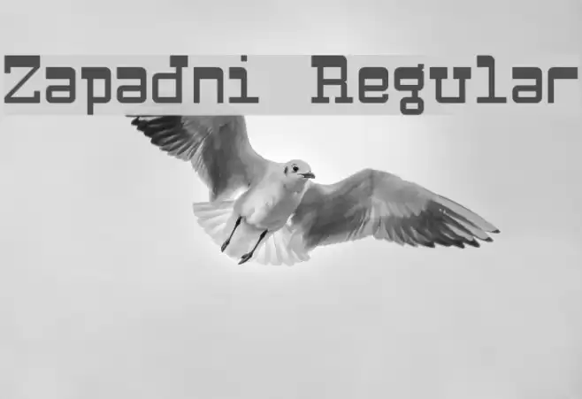Zapadni Regular Font examples