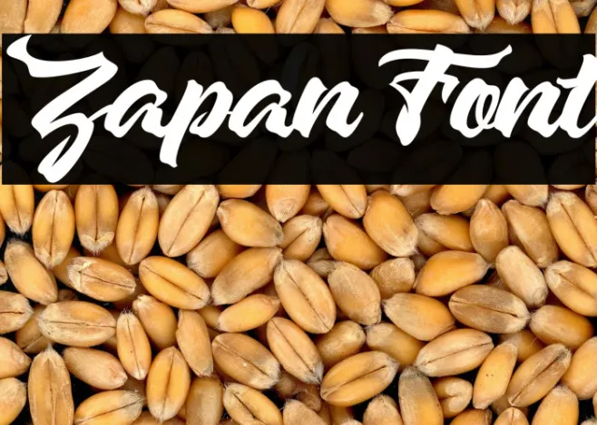 Zapan Example 1