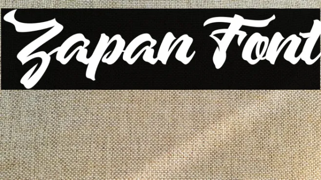 Zapan Example 3