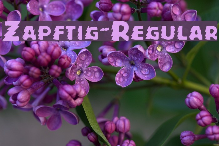 Zapftig-Regular Font examples