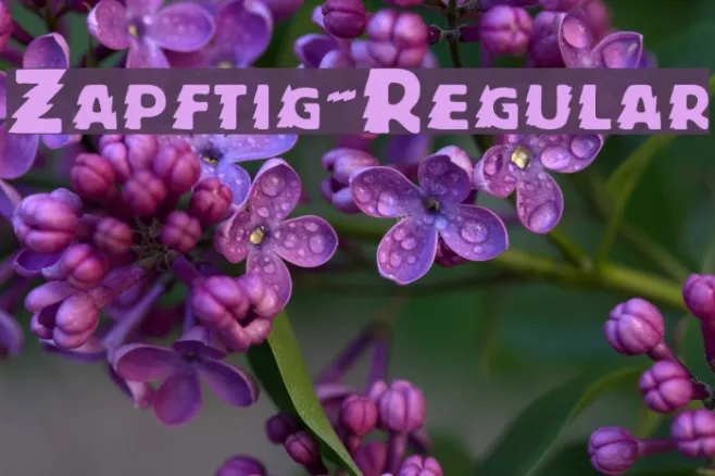 Zapftig-Regular Example 1