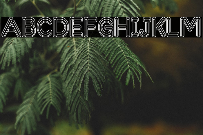 Zapped Sticks Example 3