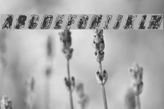 Zapped फ़ॉन्ट examples