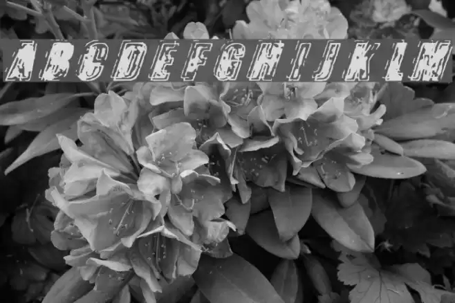 Zapped फ़ॉन्ट examples