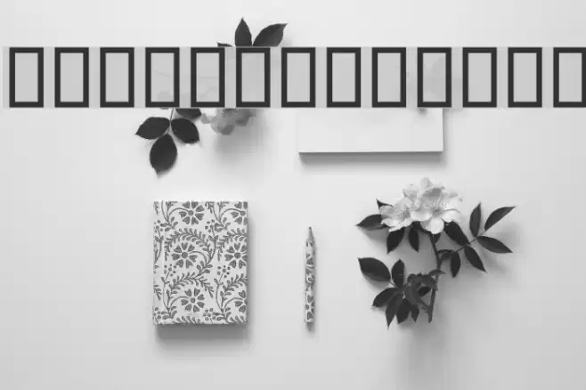 Zar Bold Font examples