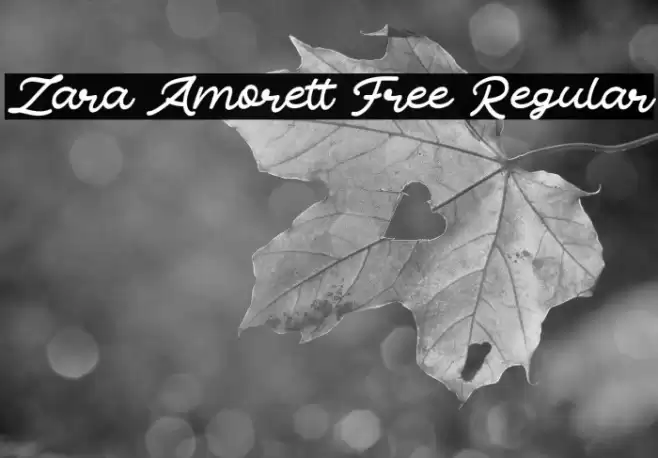 Zara Amorett Free Regular خط examples
