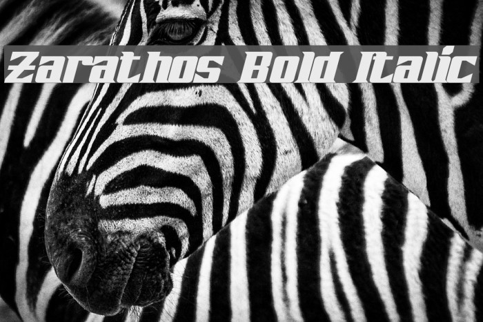 Zarathos Bold Italic Font examples