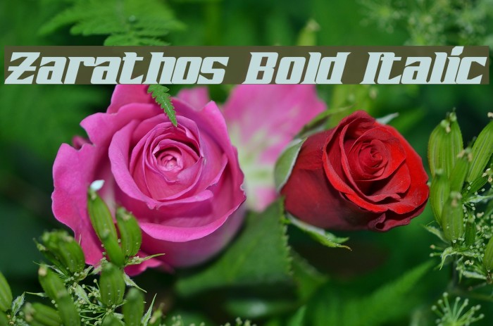 Zarathos Bold Italic Font examples