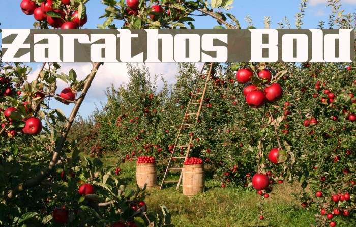 Zarathos Bold Font examples