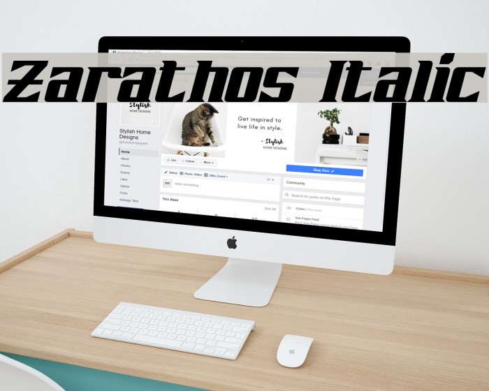 Zarathos Italic Fonte examples