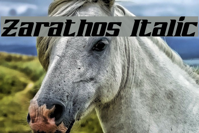Zarathos Italic Fonte examples