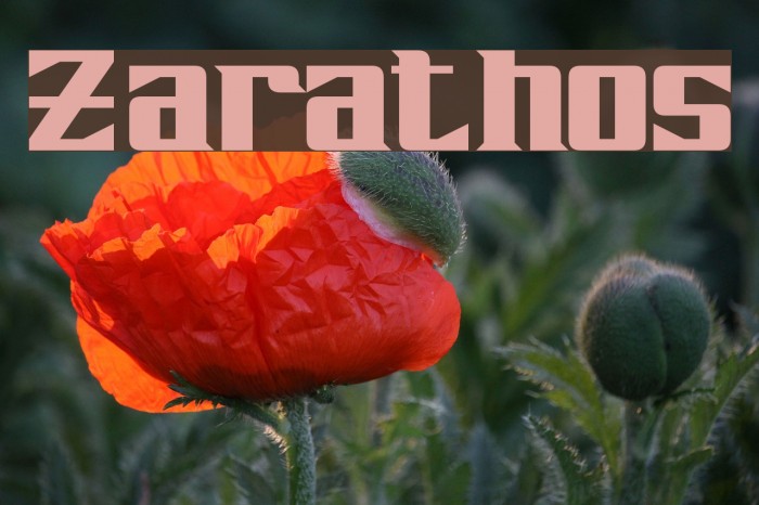 Zarathos Font examples