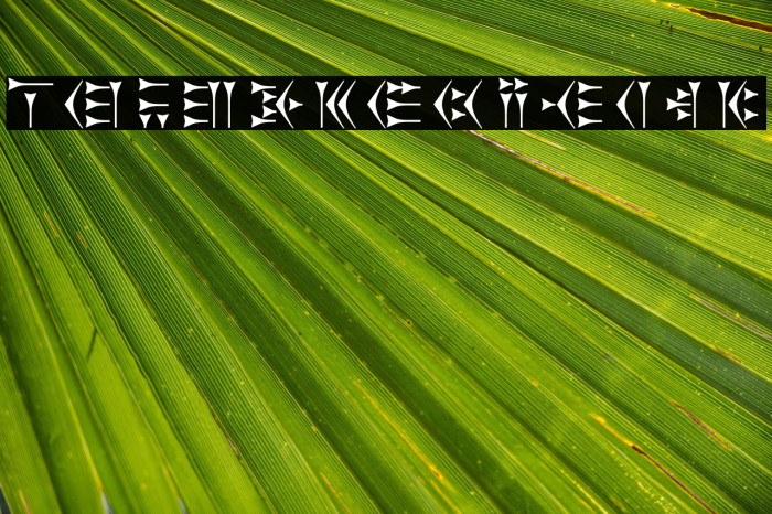 Zarathustra Example 1