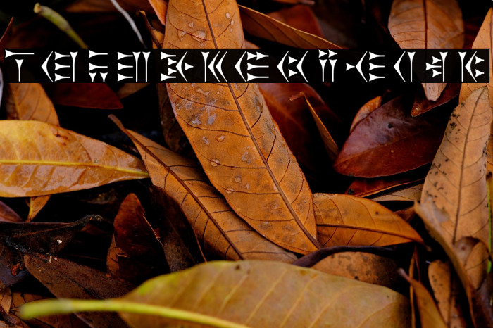 Zarathustra Example 3