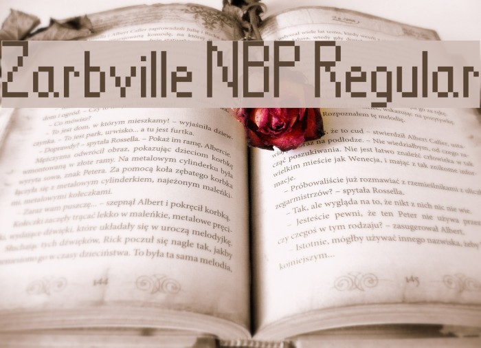 Zarbville NBP Regular Example 1