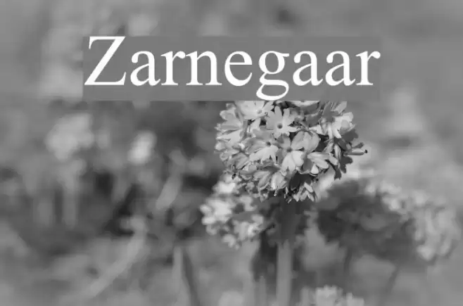 Zarnegaar Font examples