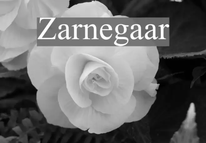 Zarnegaar Font examples