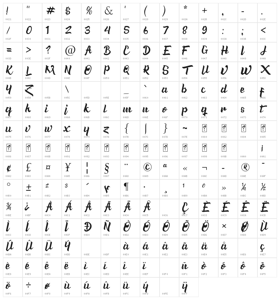 Zarra Italic Character Map