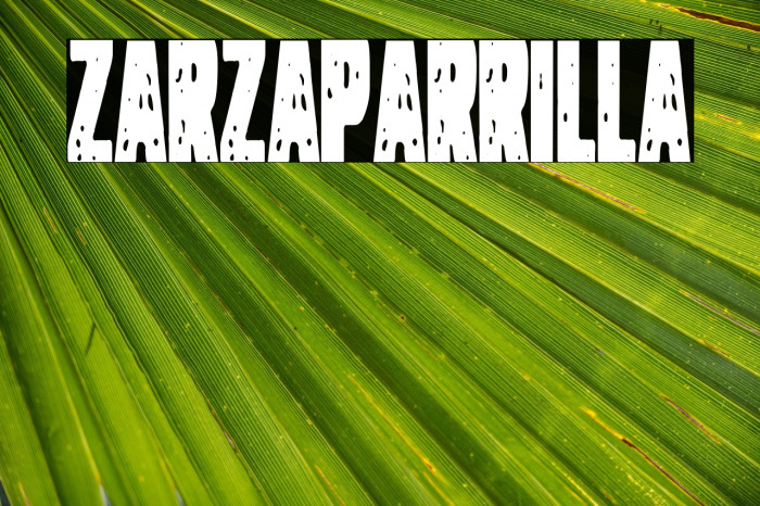 Zarzaparrilla Example 1