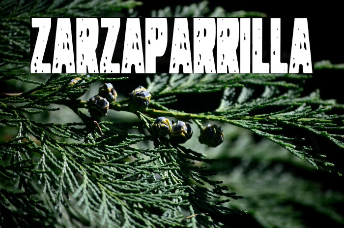 Zarzaparrilla Example 2