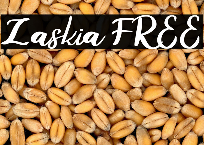 Zaskia FREE Example 1