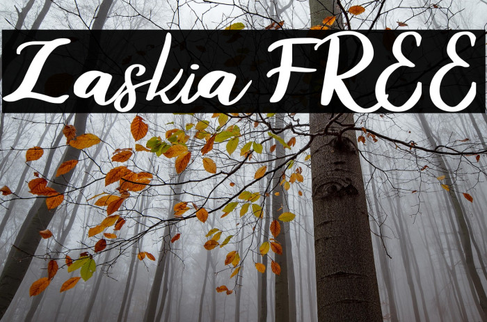 Zaskia FREE Example 2