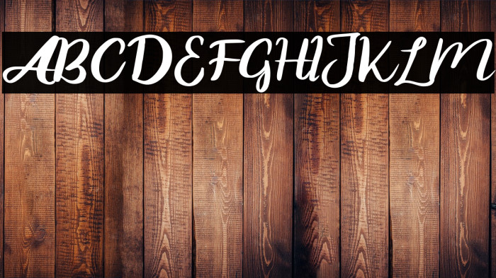 ZaskiaFREE Example 1