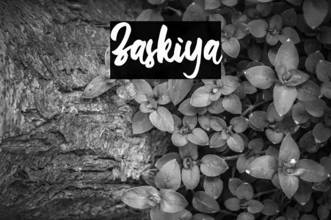 Zaskiya Font examples