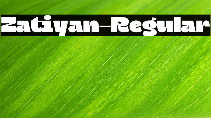 Zatiyan-Regular Example 2