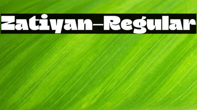 Zatiyan-Regular Example 2