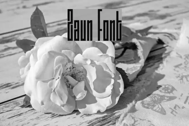 Zaun Font examples