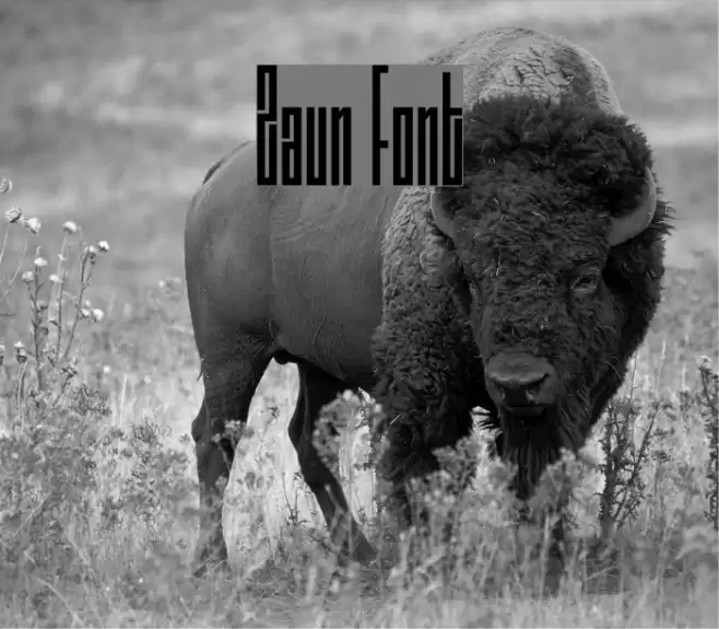 Zaun Font examples
