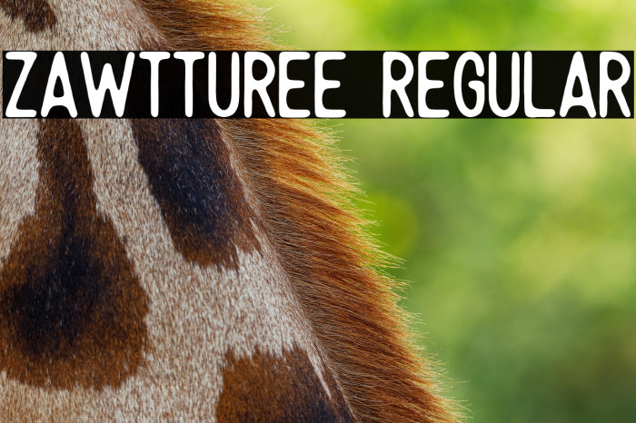 Zawtturee Regular Example 1