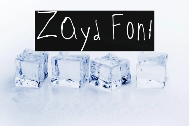 Zayd Example 1