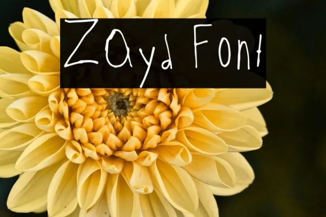 Zayd Example 2