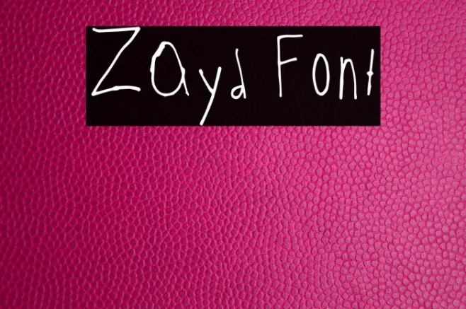 Zayd Example 3