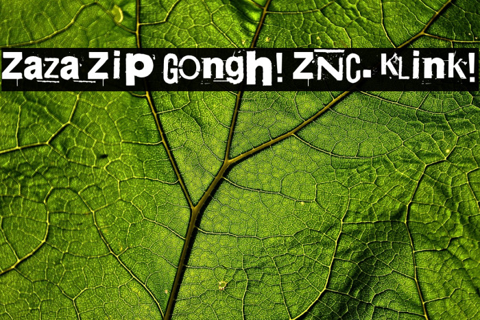 Zaza Zip Gongh! ZNC. Klink! Example 1
