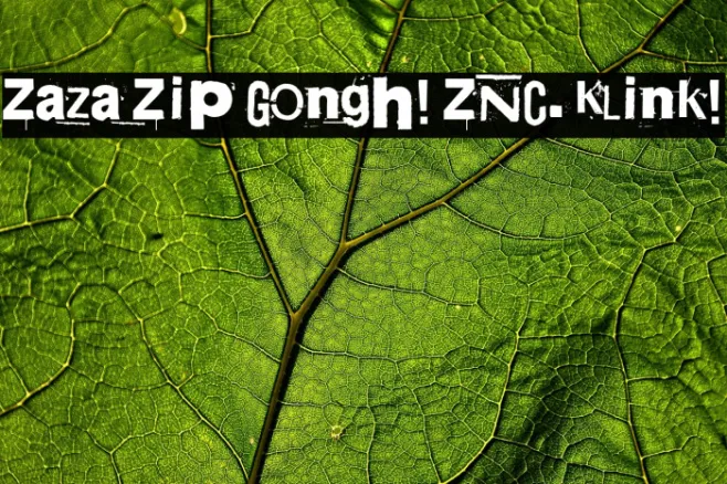 Zaza Zip Gongh! ZNC. Klink! Example 1