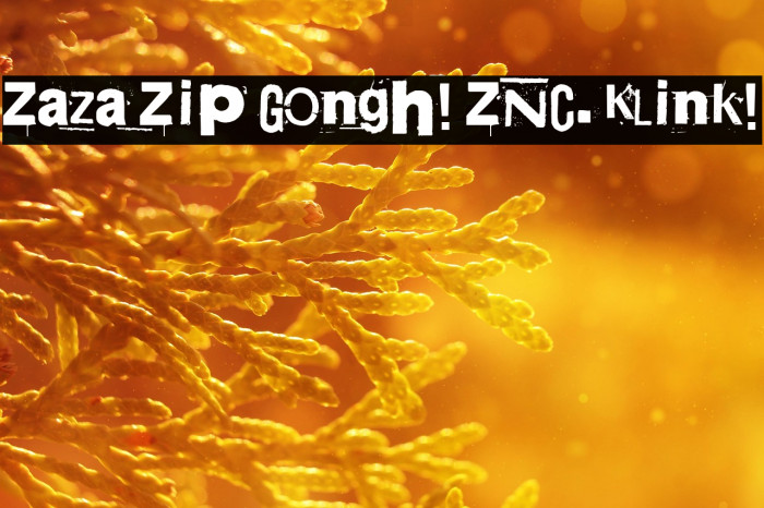Zaza Zip Gongh! ZNC. Klink! Example 3