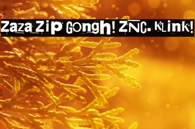 Zaza Zip Gongh! ZNC. Klink! Example 3