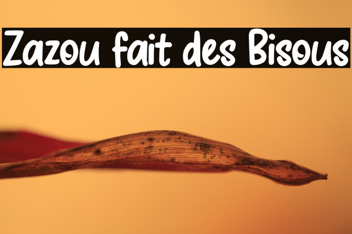 Zazou fait des Bisous Example 1